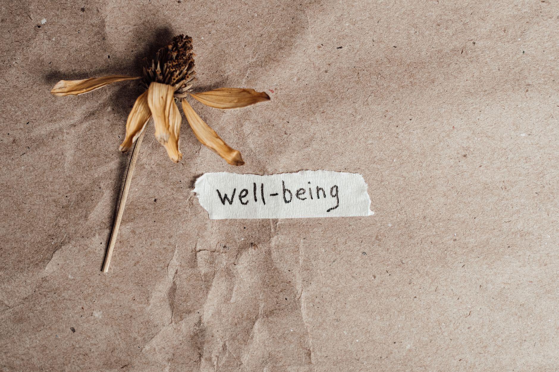 The Sunday Reset: A Gentle Way to Meet the Week